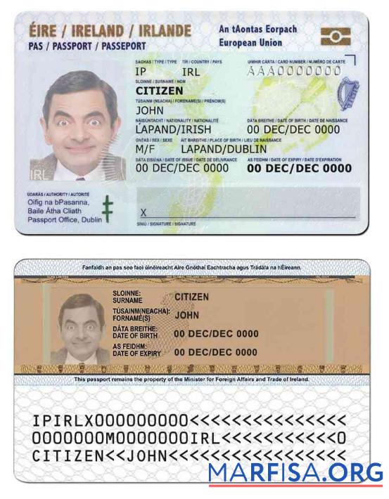 Realistic Ireland ID real example